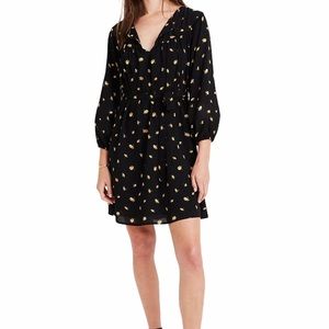 Madewell Tie-Waist Mini Dress in French Daisies